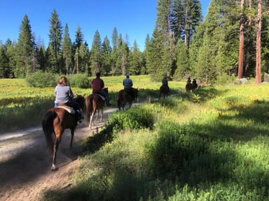 1 Hour Horseback Ride Shaver Lake, California 4