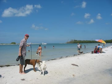 does naples beach allow dogs